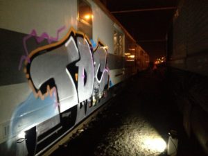 11301427_IMG_1755 Referencje