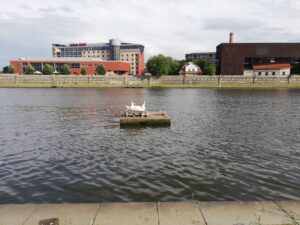 IMG_20190803_172154 Referencje