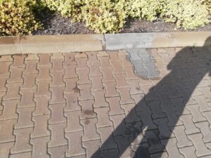 IMG_20191016_121459 Referencje