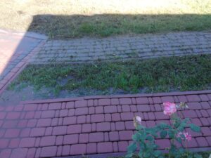 IMG_20200904_102511 Referencje